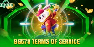 BG678 Terms of Service